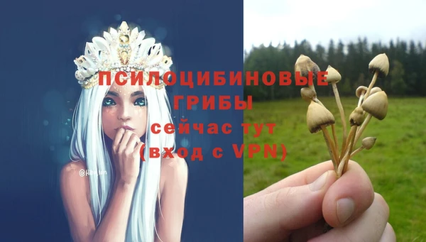 стафф Баксан