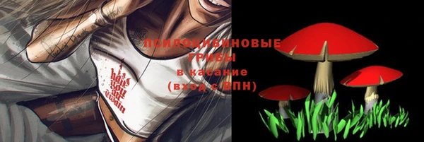 а пвп мука Новодвинск