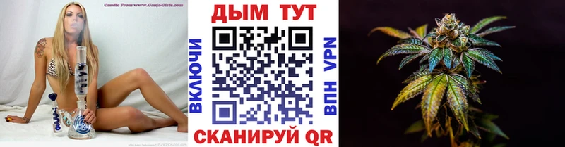 Шишки марихуана марихуана  где можно купить   Петушки 